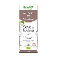 HerbalGem Artiseve Maceraat 250ml