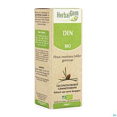 Herbalgem Bergden Maceraat 50ml