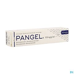 Pangel 10% Gel Tube - 30g