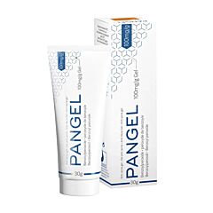 Pangel 10% Gel 60g NF
