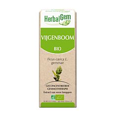 HerbalGem Vijgenboom Maceraat 15ml
