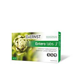 Dr Ernst Entero Tabs 42 Tabletten