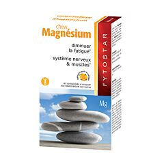 Fytostar Chew Magnesium 45 Tabletten