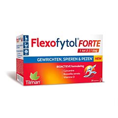 Flexofytol Forte 28 Tabletten