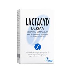 Lactacyd Derma Zeepvrije Wastablet Voor Het Hele Lichaam 100g