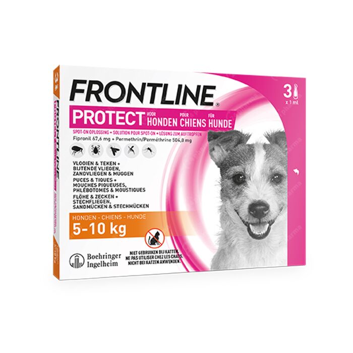 rechtbank ondergronds bevolking Frontline Protect - Anti-Vlooien/ Teken Spot-On Oplossing Voor Honden -  5-10kg - 3 Pipetten online Bestellen / Kopen